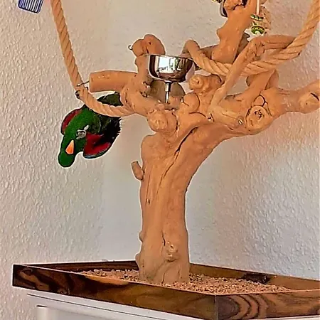 Casa Loro Loco